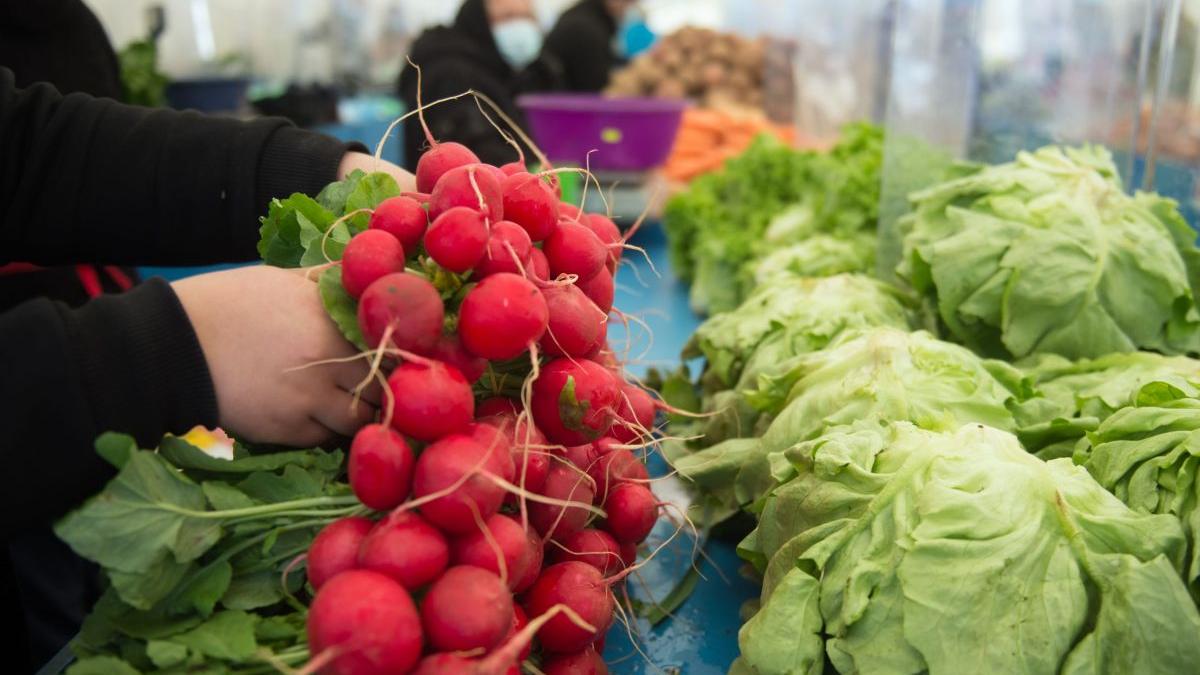 britanici pus ochii legume piata obor salata frumoasa ceapa ridichi anglia herson