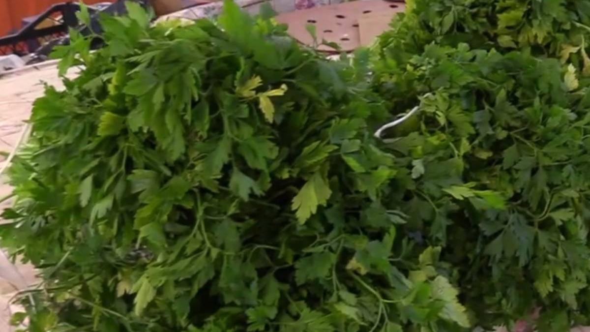 cat costa patrunjel piata pret verdeturi