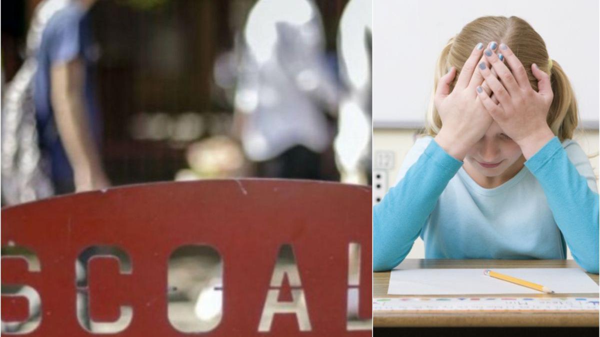 elevi mancare program masa calda paine inflorita mucegai