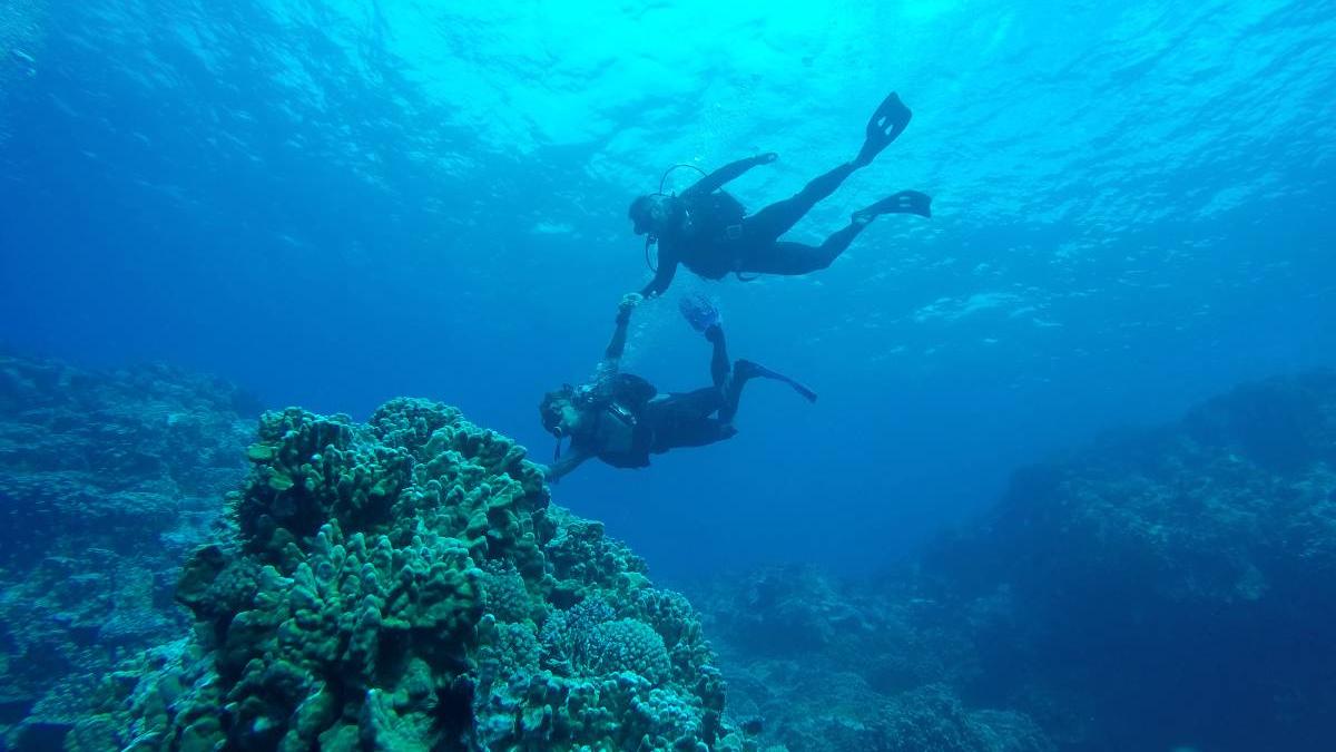 soti lasati mijlocul oceanului agentie turism hawaii