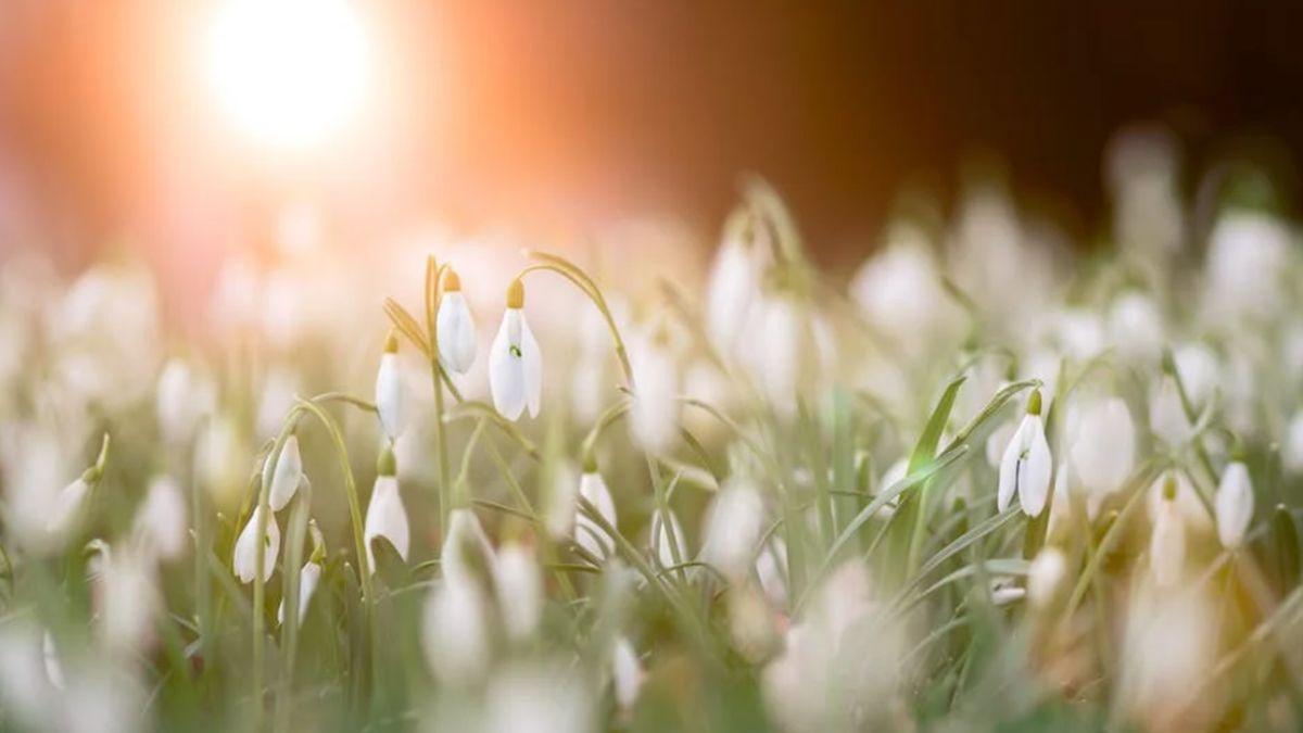 vremea prognoza meteo temperaturi