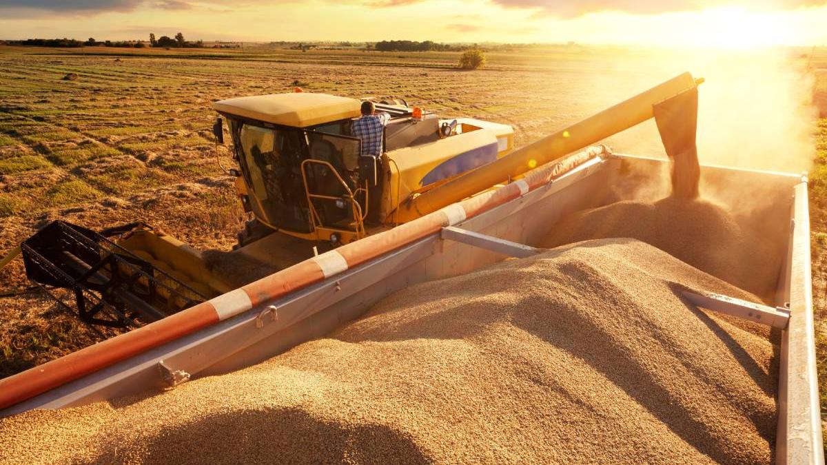 probe depozite mori cereale ucraina stopare livrare populatie