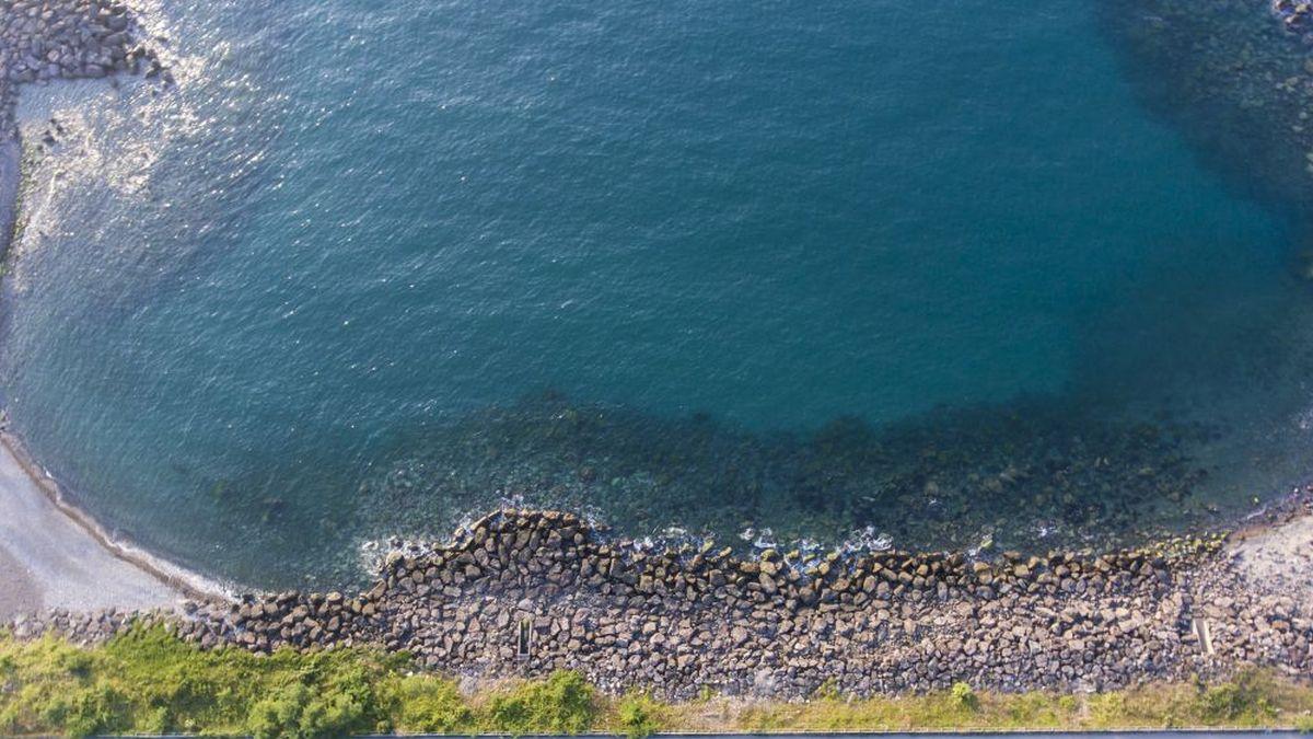 romania arunca mii tone alge marine gunoi folosite numeroase industrii