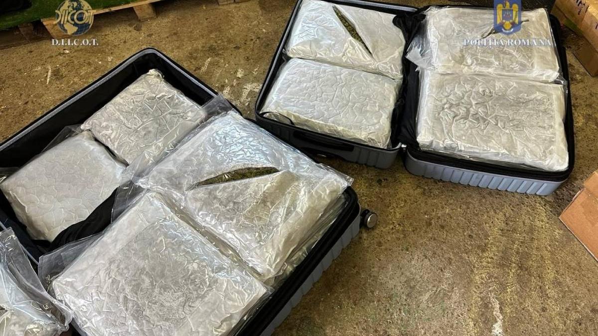 roman trimis 37 kg canabis spania prin curier