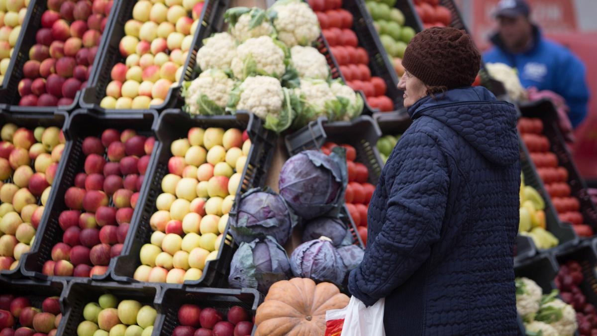 scumpiri produse alimente polite rca