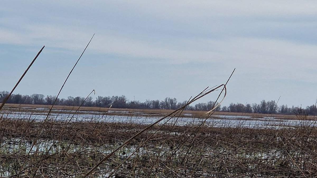 aparut lac nou delta dunarii specialisti fenomen