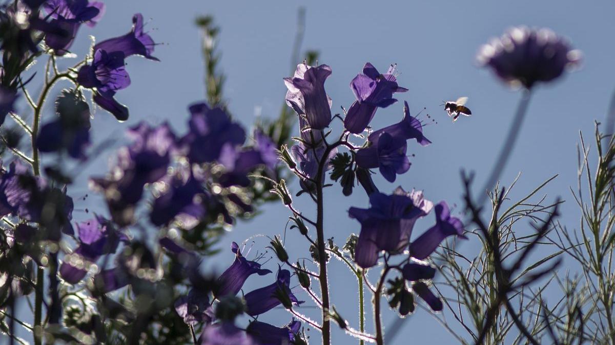 prognoza meteo 13 martie 10 aprilie 2023 vremea