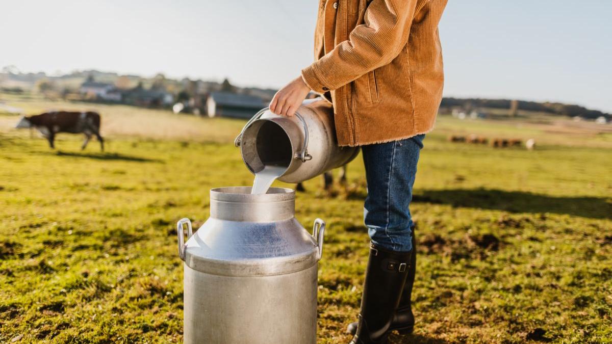 scandal urias industria laptelui fermieri acuzatii supermarketuri