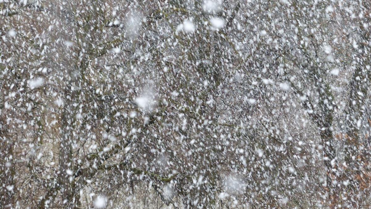 avertizare meteo anm lapovita ninsori ploi