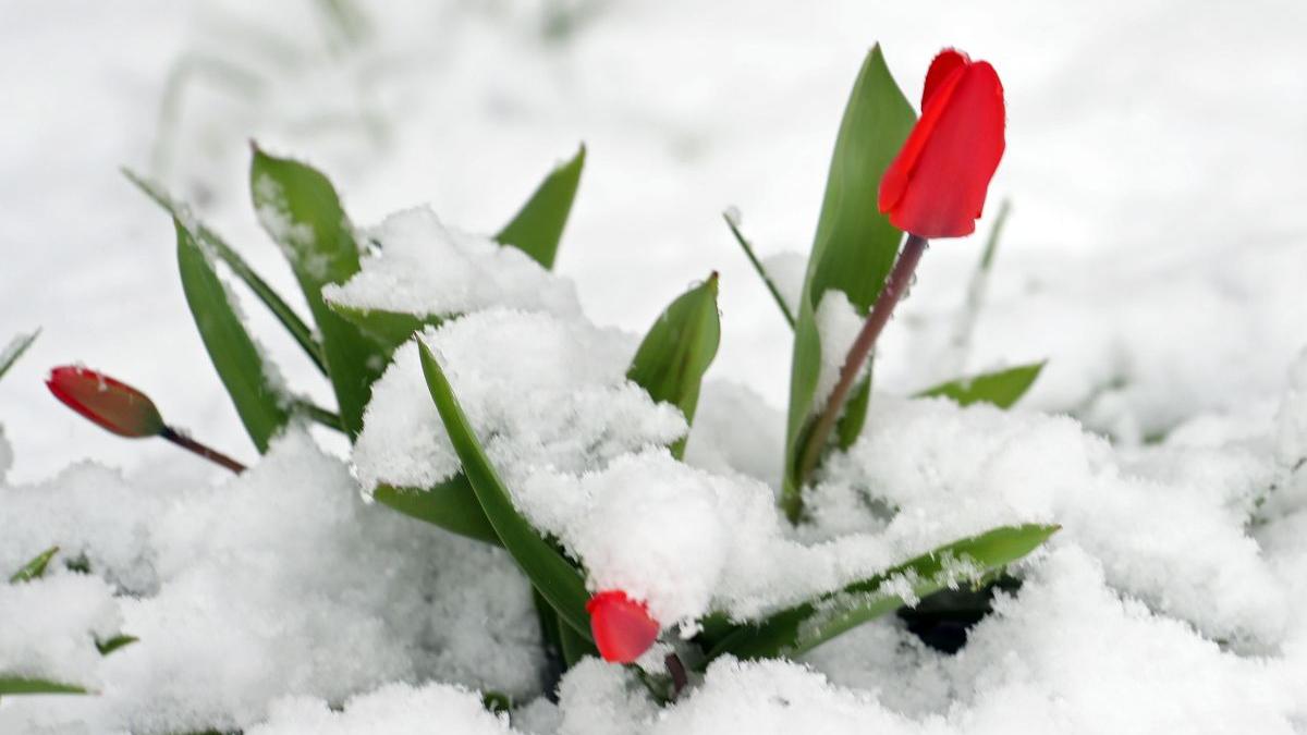 prognoza meteo vremea alina serban