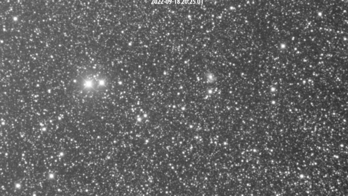 adrian sonka stea stricata