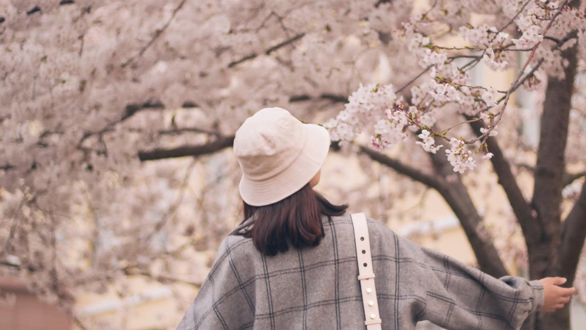 anm prognoza meteo vremea in romania luna martie val de aer cald africa