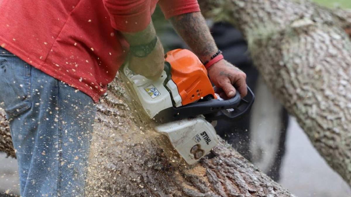 barbat neamt murit confundat bere benzina drujba