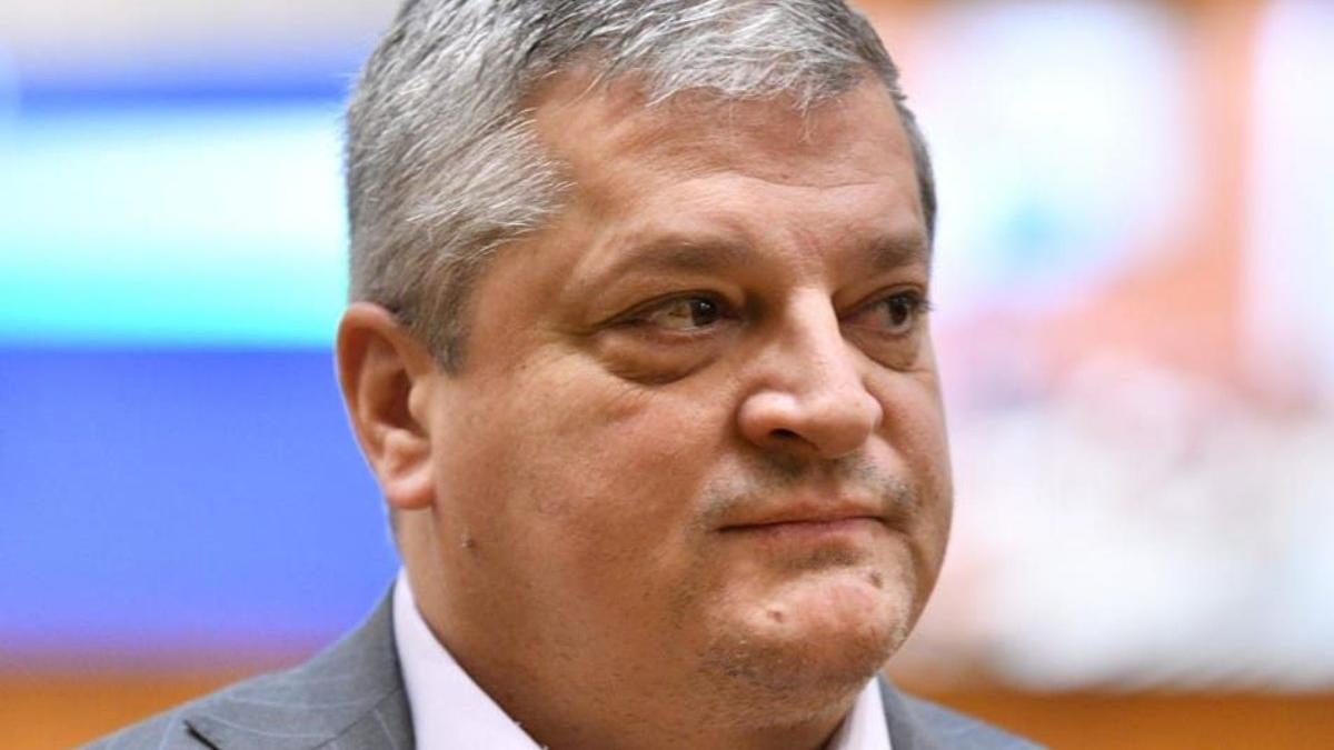 radu cristescu psd raspuns robert sighiartau pnl