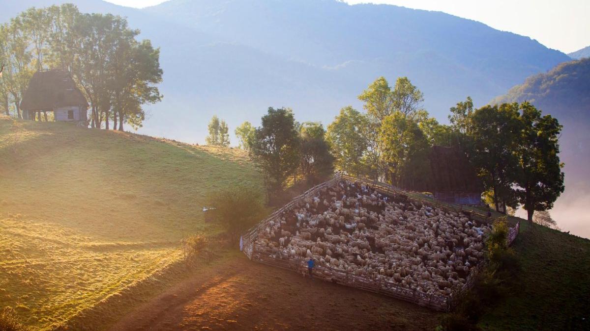 fermieri romani faliment razboi ucraina