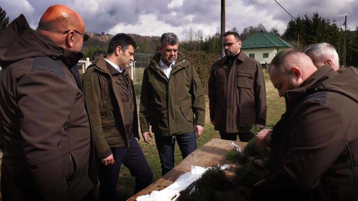 marcel ciolacu defrisari ilegale egalitate coruptie