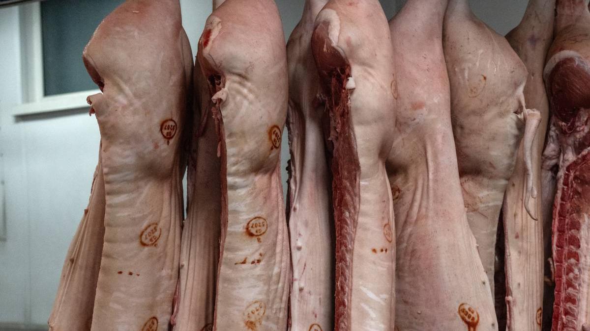 trei romani furat cinci tone carne de porc camion belgia