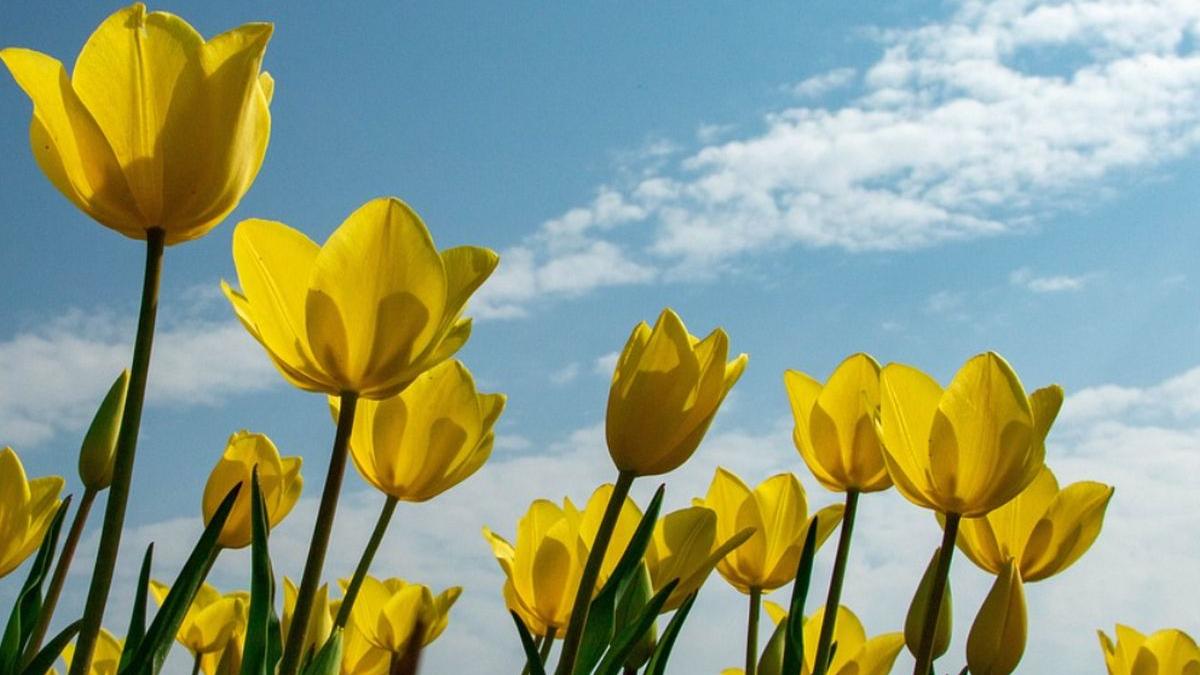 prognoza meteo anm val aer cald vremea