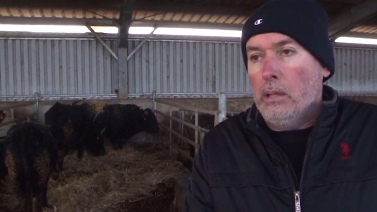 roman dat lovitura cea mai scumpa carne din lume kilogram 400 dolari