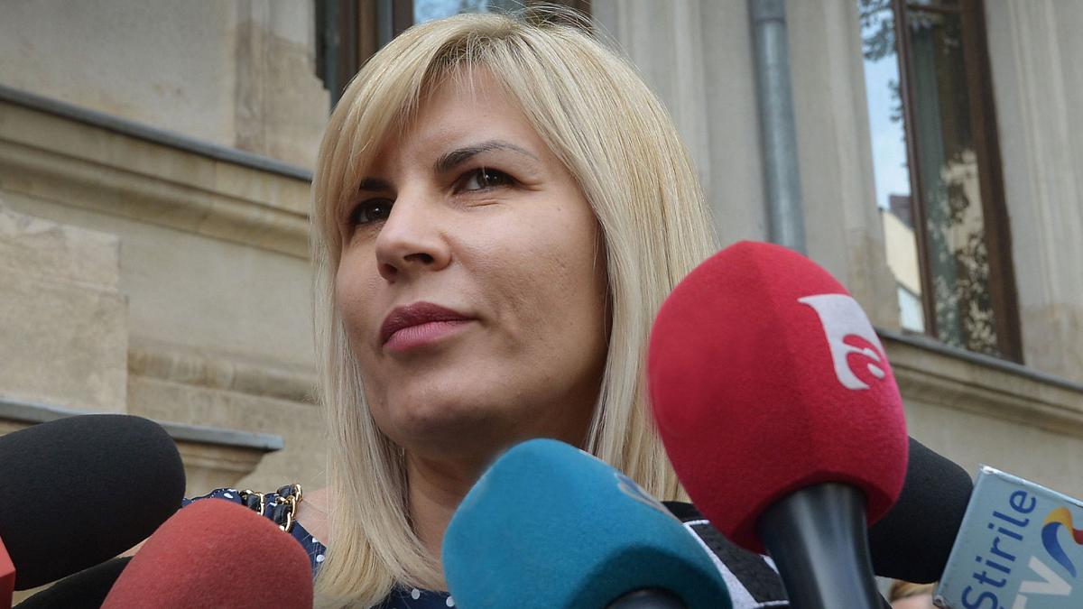 elena udrea contesta pedeapsa dosar gala bute