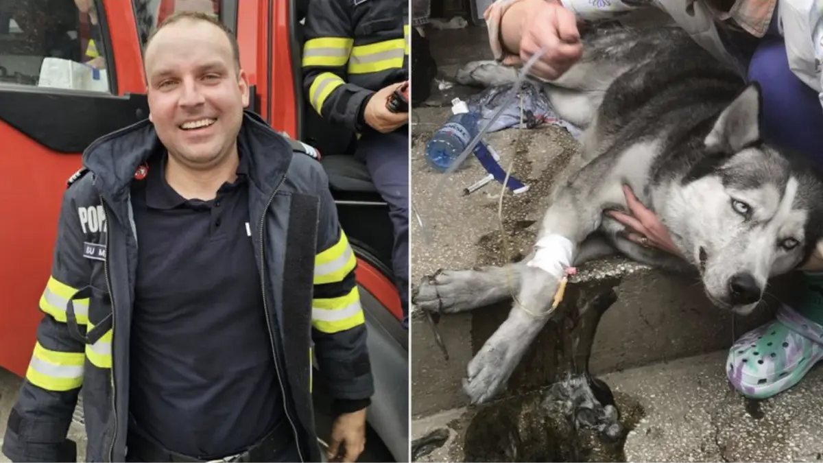 pompier mehedinti scos caine flacari incendiu resuscitat