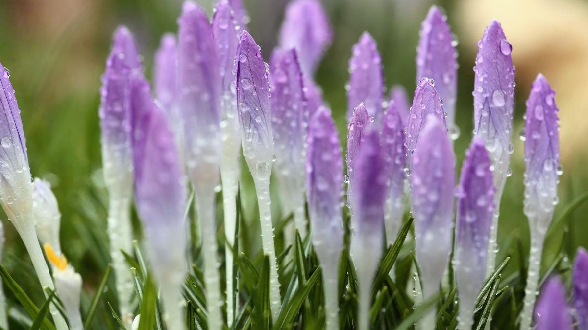 vremea se raceste romania prognoza meteo vremea