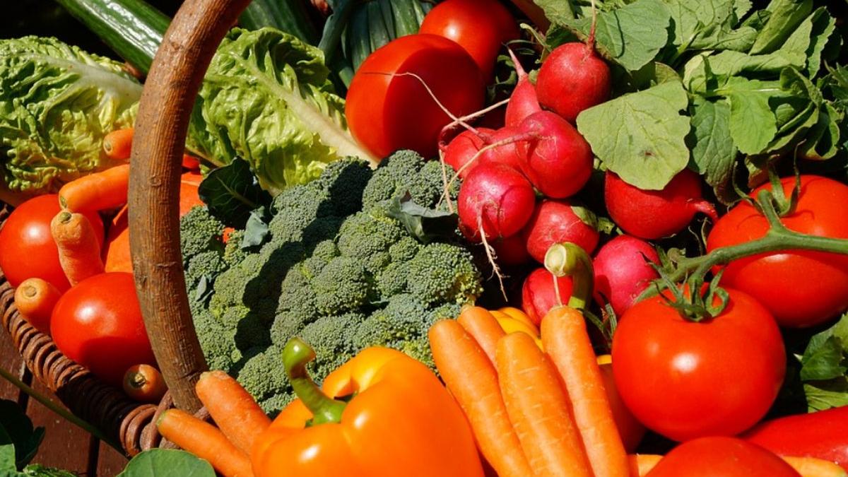 guvern ajutor umanitar alimente ucraina