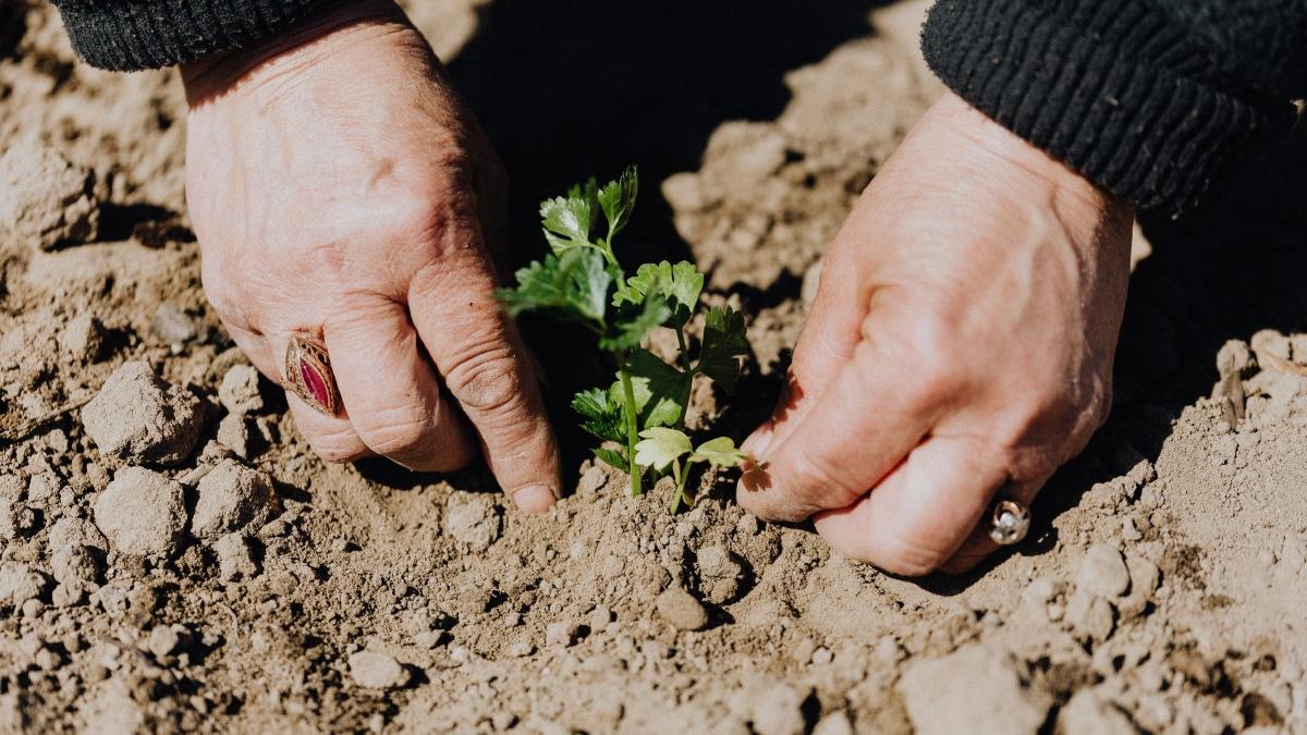 comisia europeana a majorat ajutoarele pentru fermierii romani