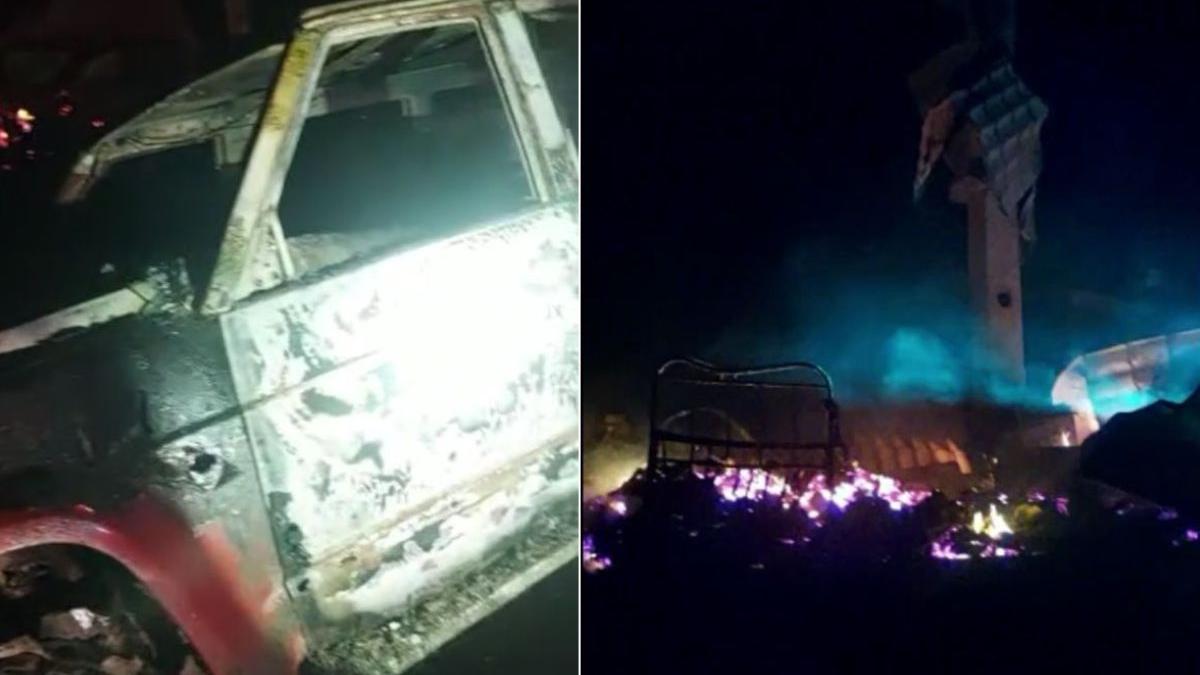 mafia lemnului valea vaserului incendiu paznic sechestrat caine omorat focuri de arma