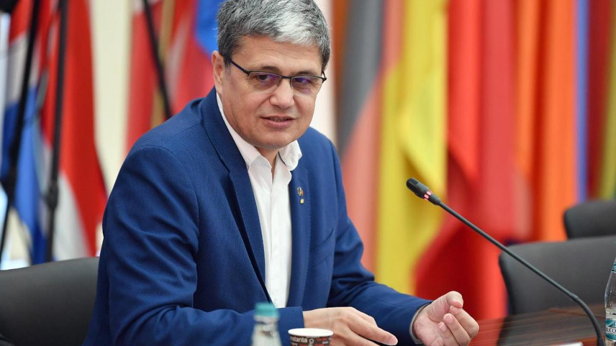 marcel bolos pachete alimente paste