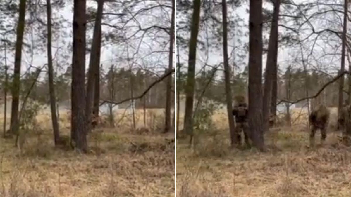 tufisuri prind viata se transforma soldati camuflaj