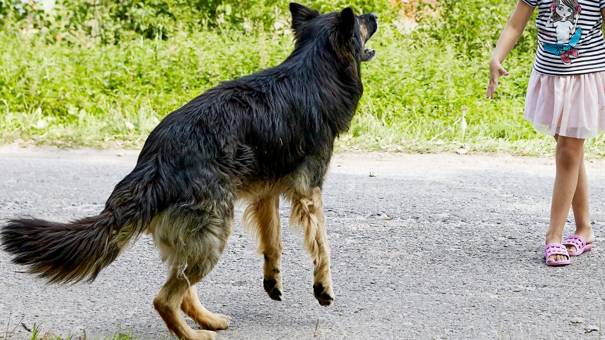 fetita 3 ani muscata fata caine snagov