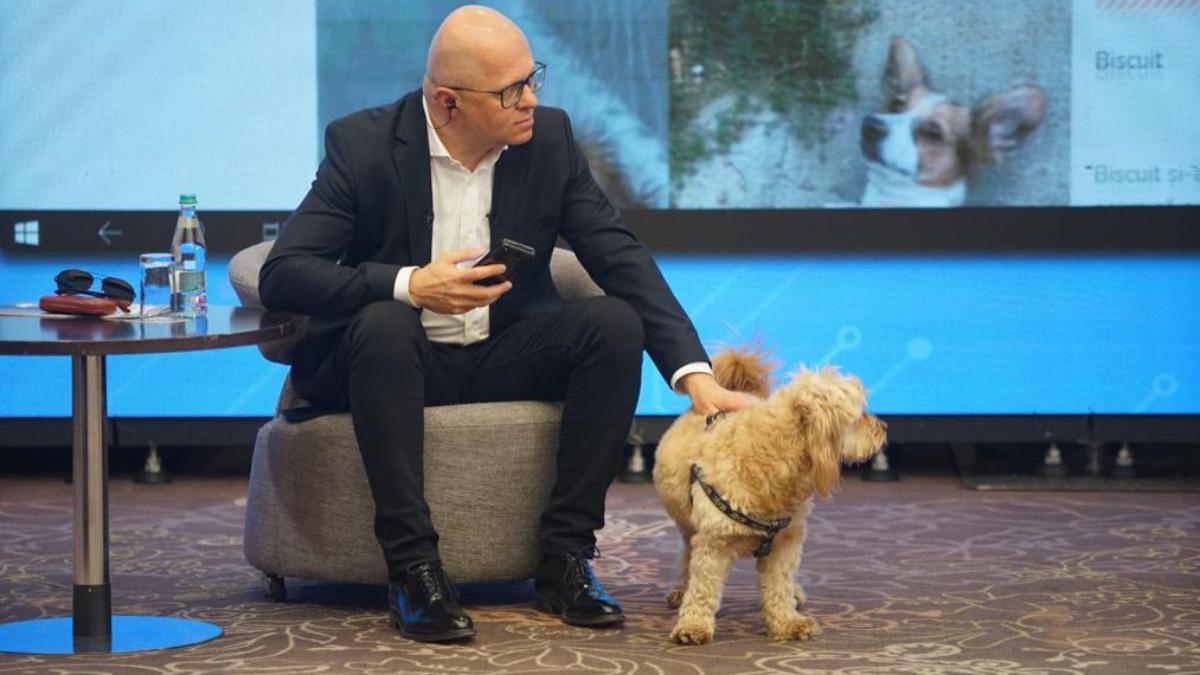 conferinta nationala strategie ingrijire animale judetul ilfov romania inteligenta