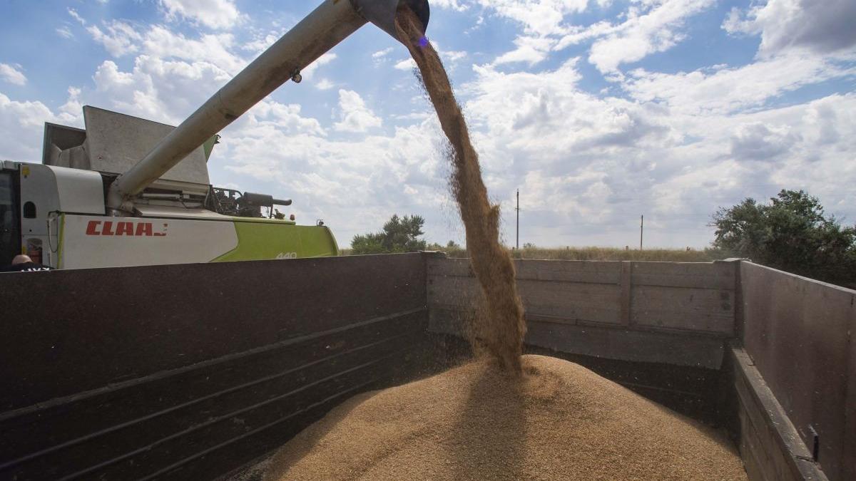 revolta uniunea europeana importuri ucraina premier