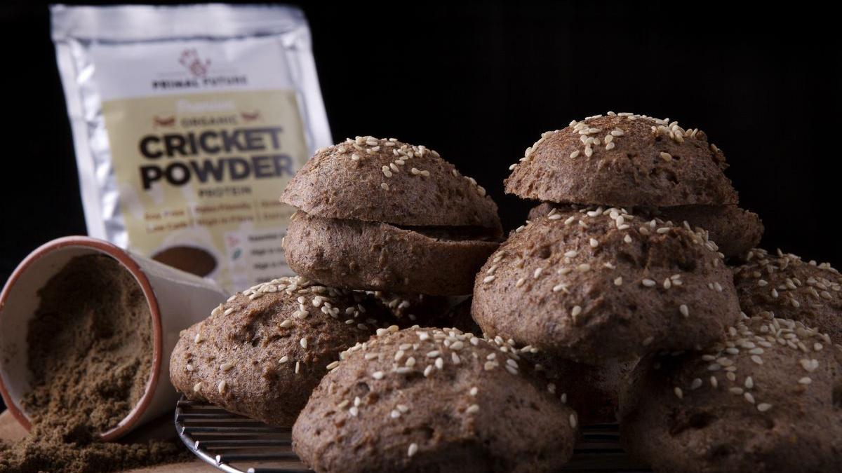 faina greieri faina larve cum vor fi etichetate produsele