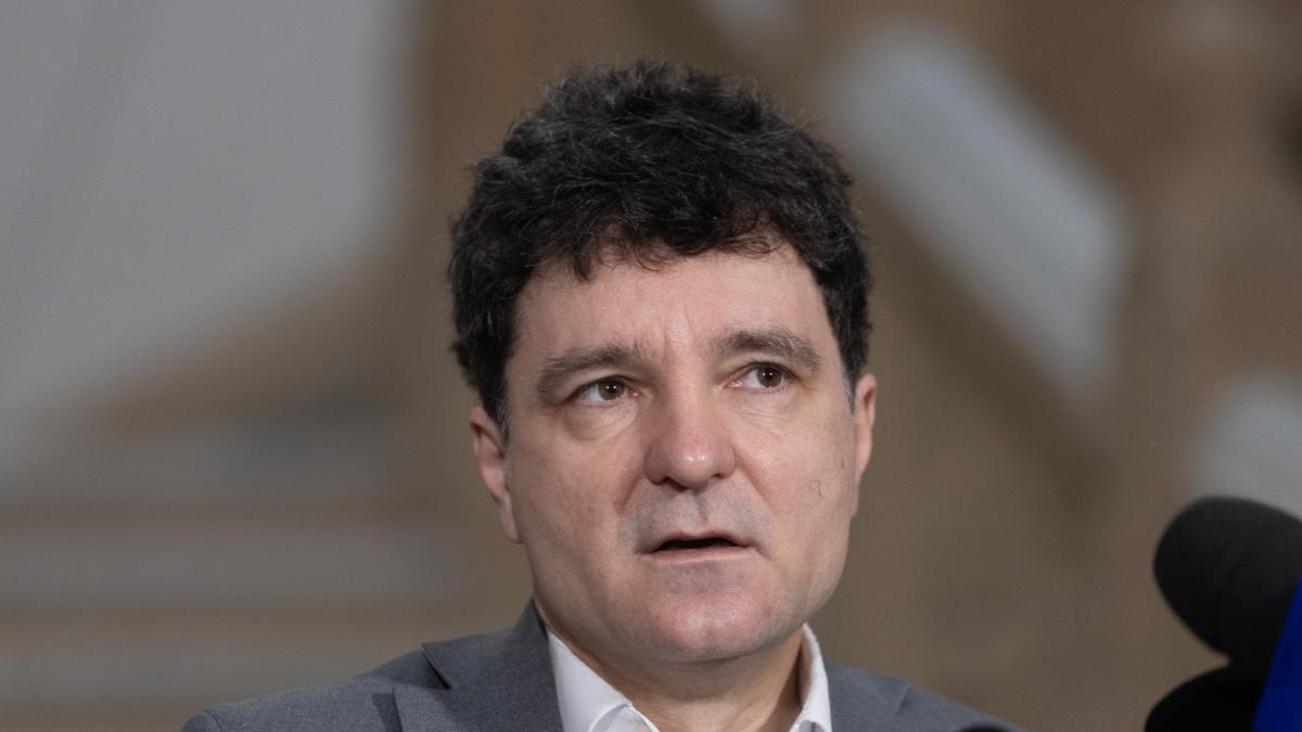 nicusor dan cumpara centrale mobile suma alocata achizitie