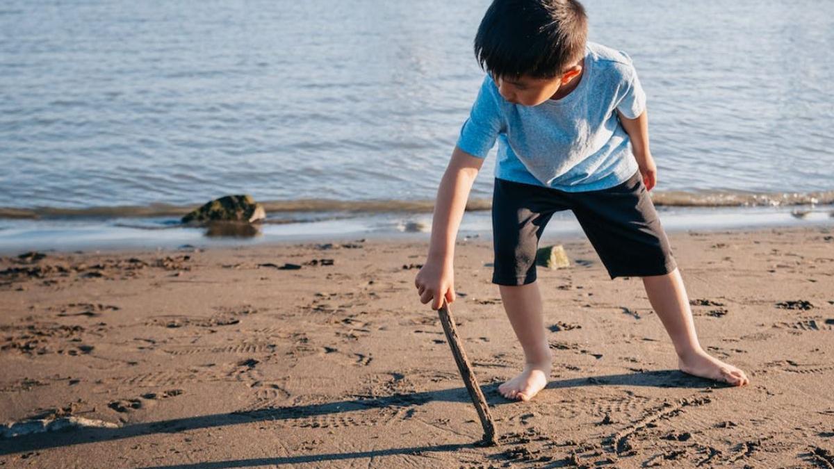 plaja descoperire marea britanie fosila