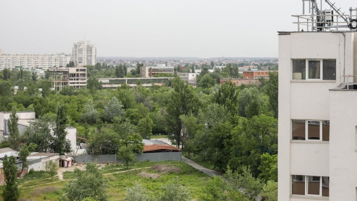 romanii planteaza flori copaci spatii verzi jurul blocurilor amenzi