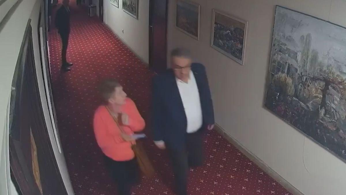 jurnalista constanta cartonas rosu simulare primar constanta