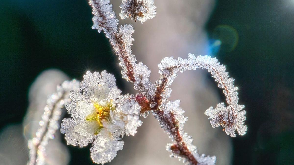 prognoza meteo vremea 3 aprilie 1 mai