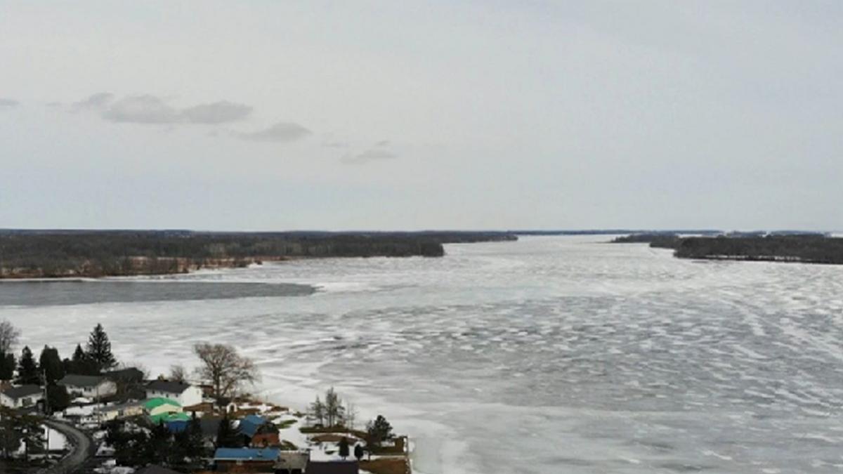 sase oameni murit granita sua canada victime romani