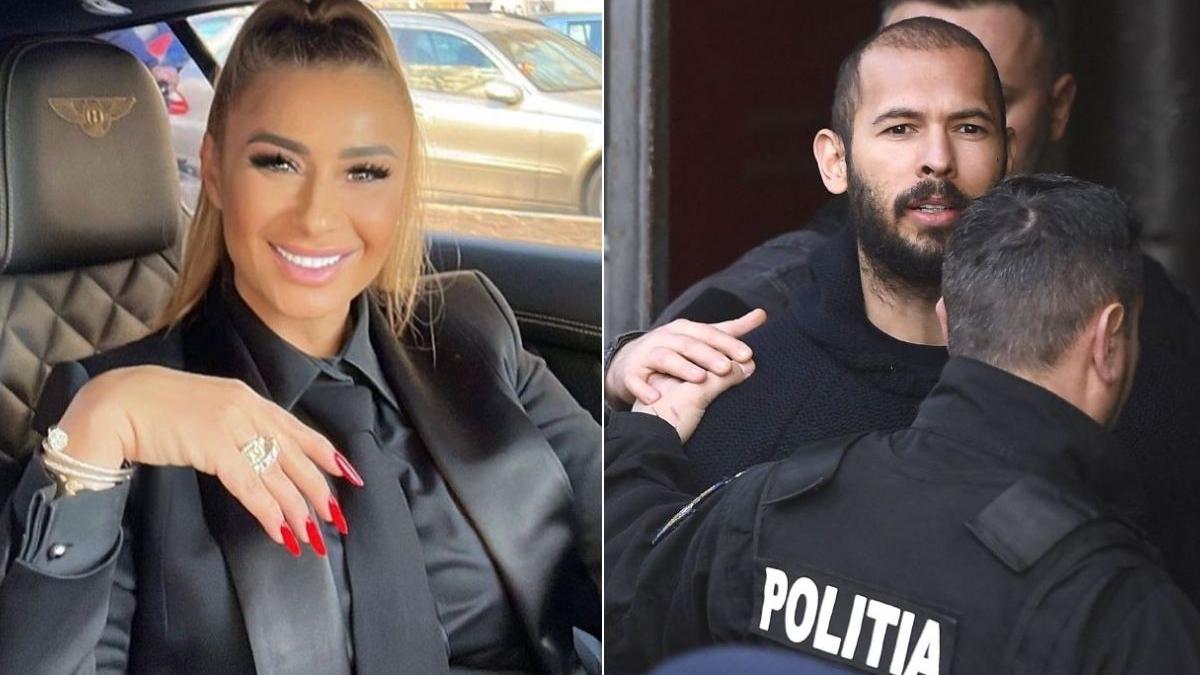 anamaria prodan fratii tate aparare trebuie demonstrat probe