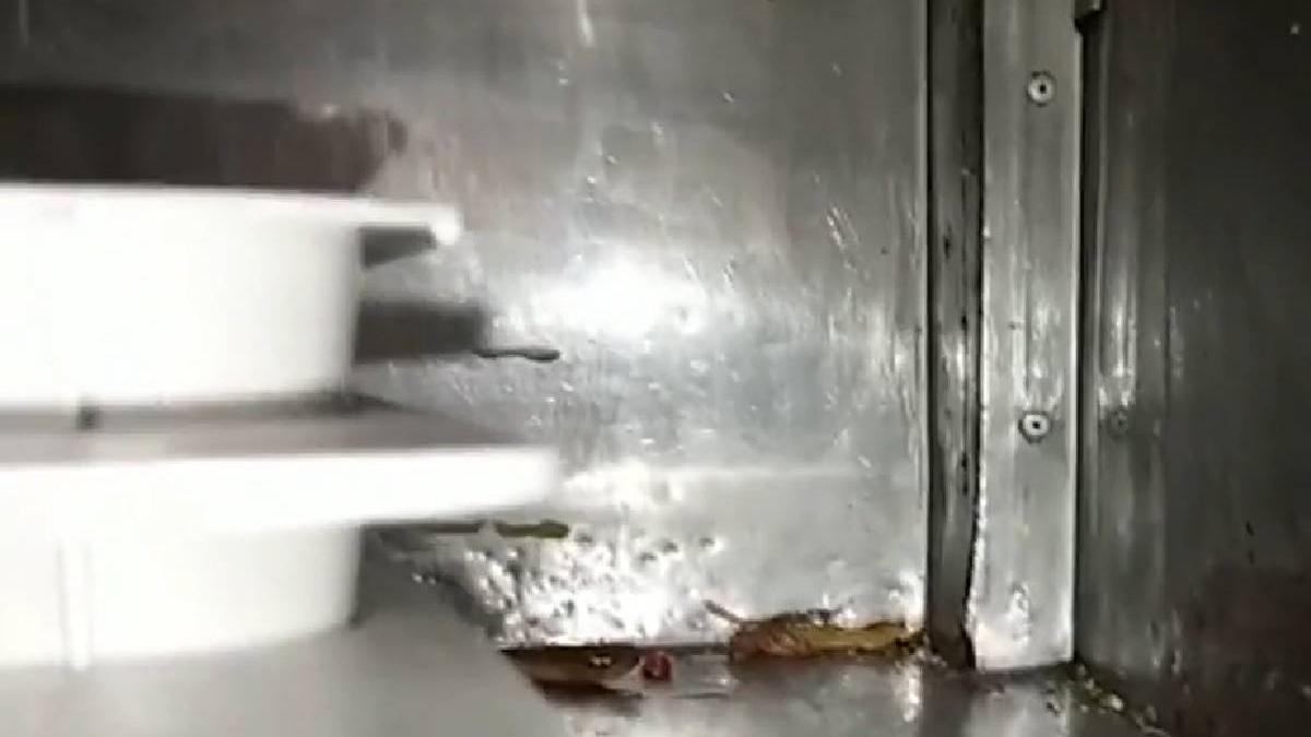 anpc 14 localuri centrul vechi bucuresti nereguli