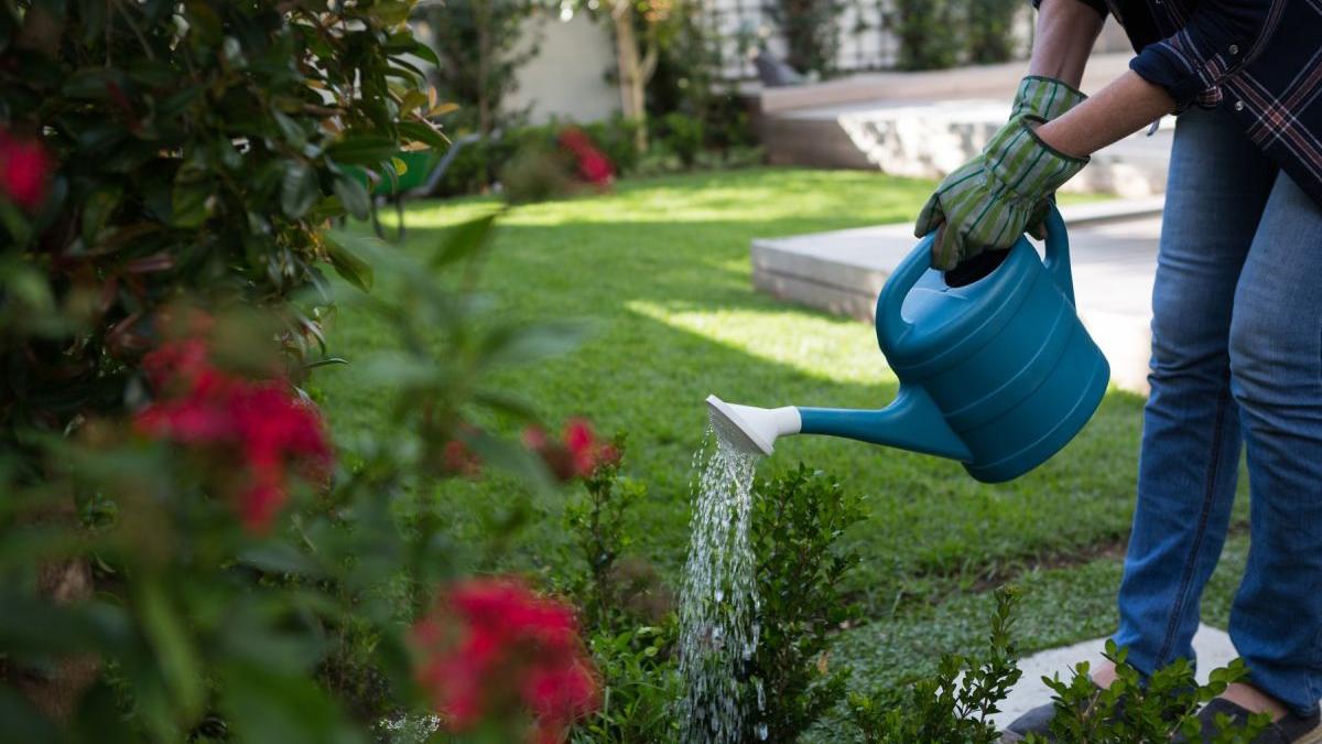 cat costa amenajare gradina plante 300 metri patrati