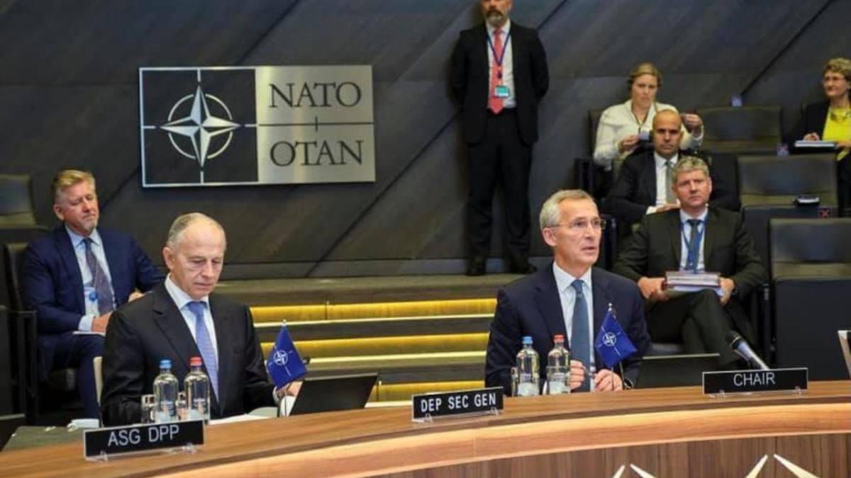 mircea geoana ziua nato romania