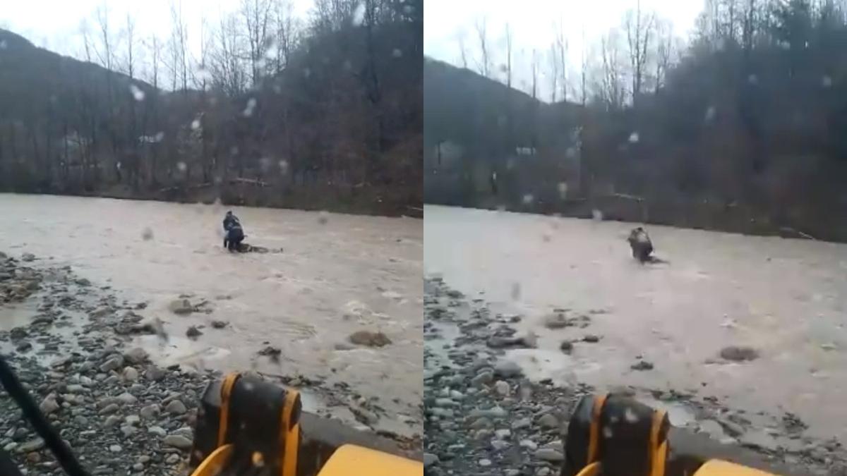 barbat mort incercat salvat animale luate curent rau putna