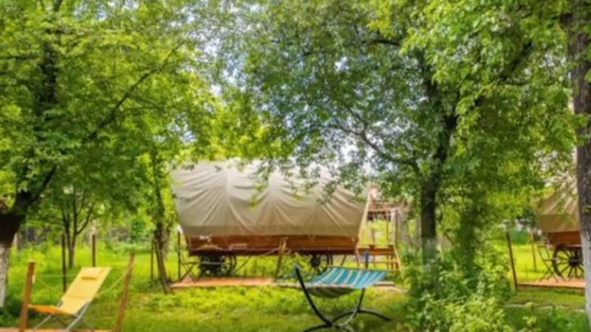 oferta cazare bran brasov caruta vacanta de paste preturi oferte cupluri turisti