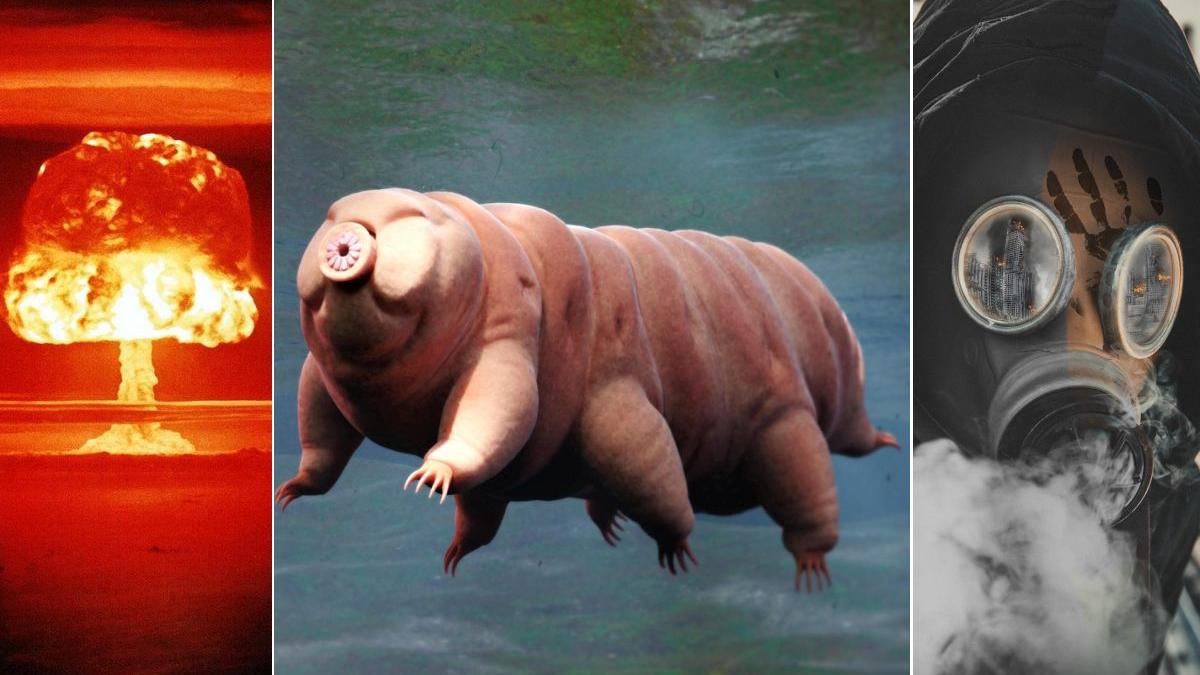 soldati imuni radiatii nucleare laborator china gene creatura