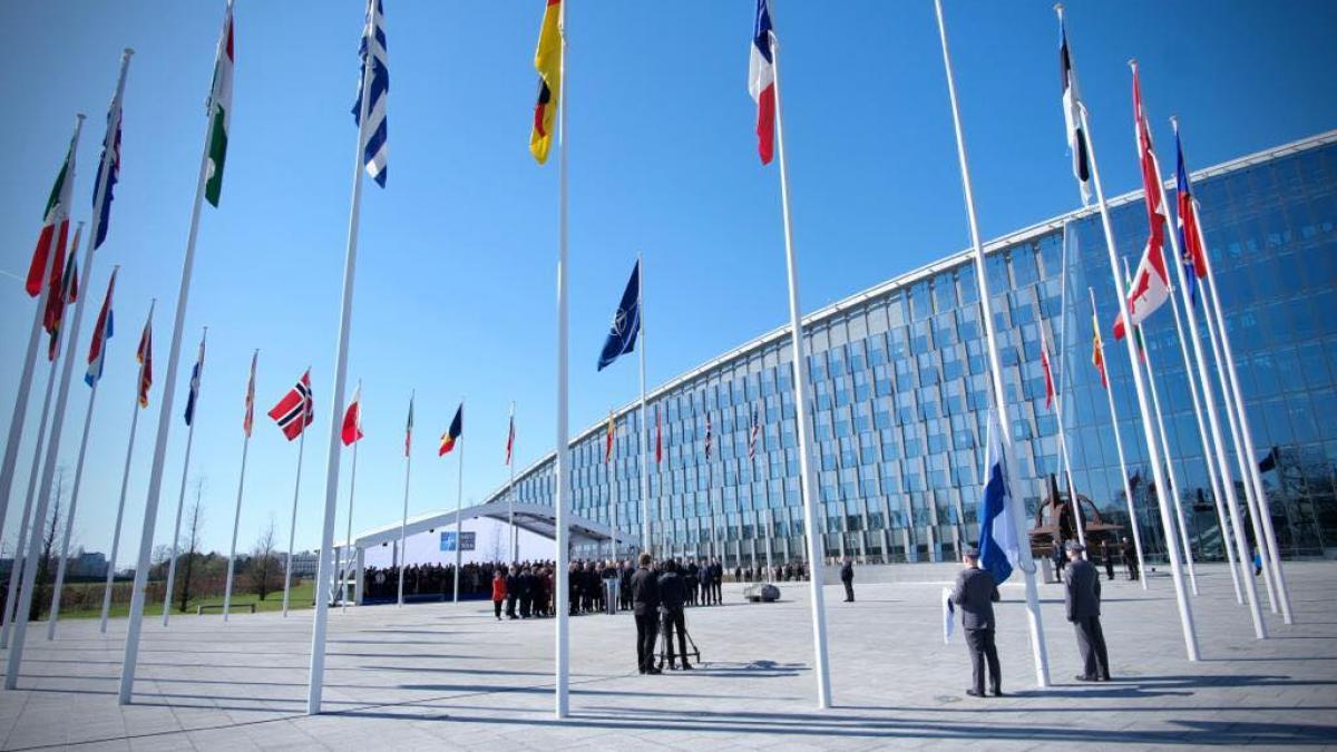 mircea geoana finlanda aderare nato