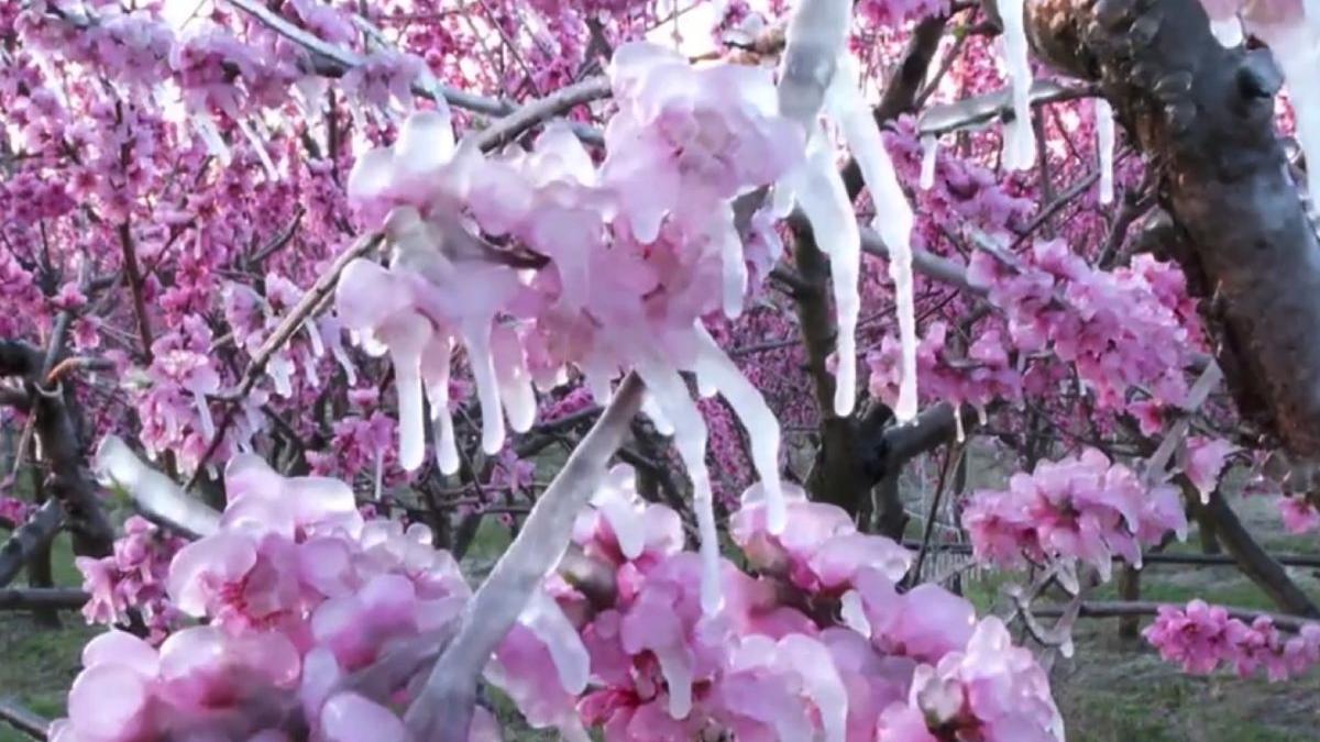 prognoza meteo vremea alina serban